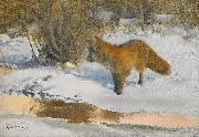 bruno liljefors Winter Landscape with a Fox Germany oil painting artist
